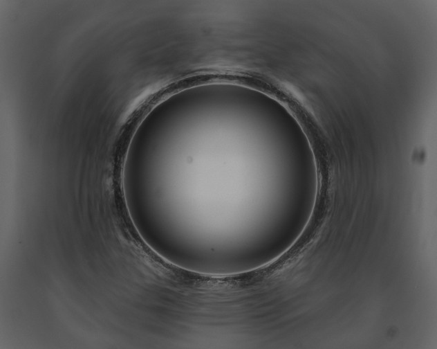 X0000091691307200708231431