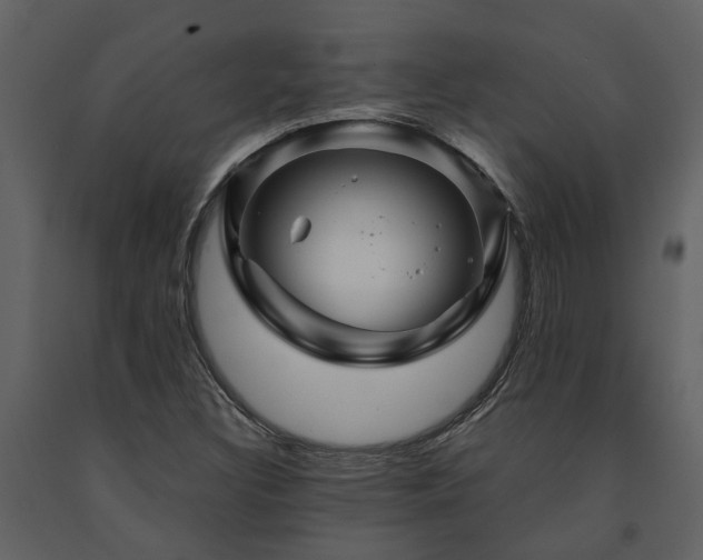 X0000091691308200708231431