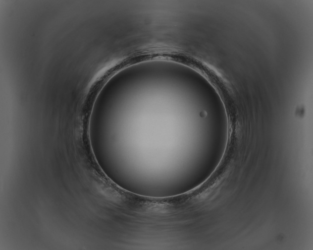X0000091691309200708231431