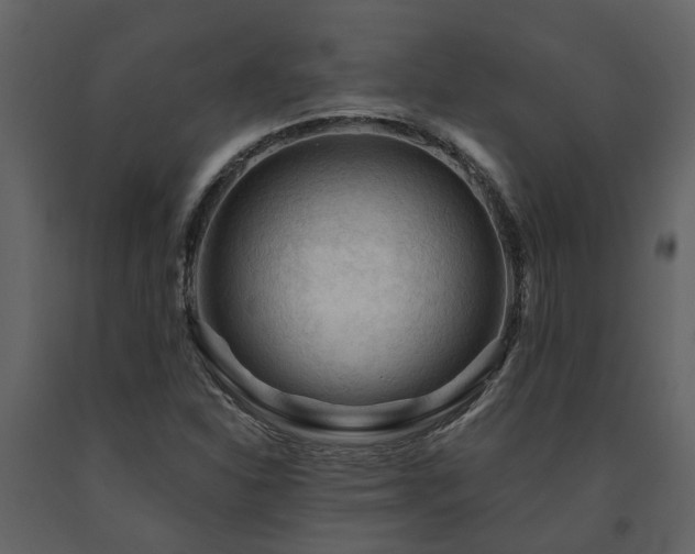X0000091691310200708231431