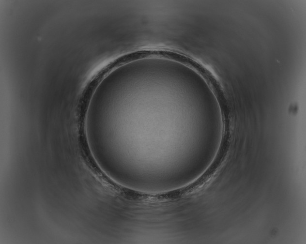 X0000091691311200708231431