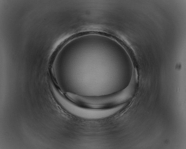 X0000091691312200708231431