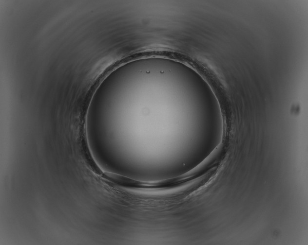 X0000091691313200708231431