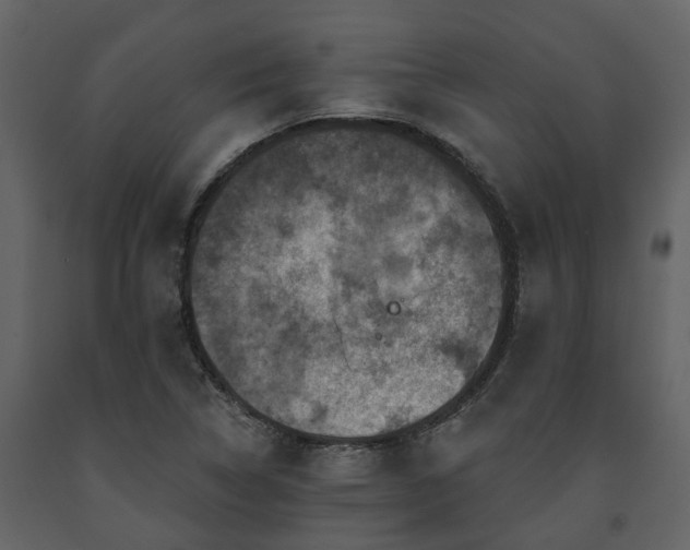 X0000091691314200708231431
