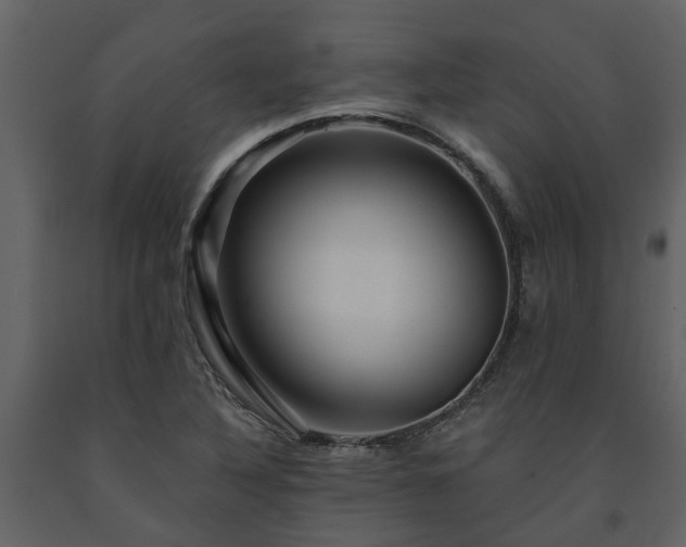 X0000091691316200708231431