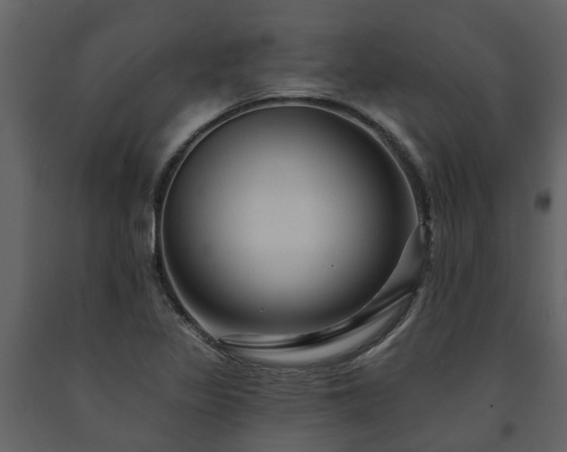 X0000091691317200708231431