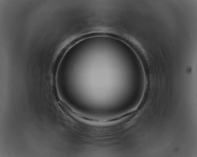 X0000091691318200708231431