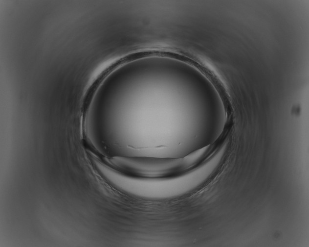 X0000091691320200708231431