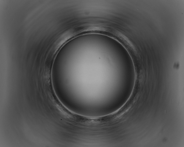 X0000091691321200708231431