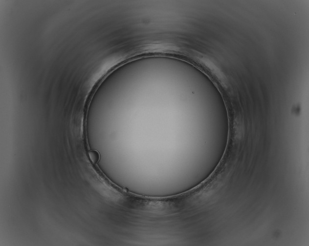 X0000091691322200708231431