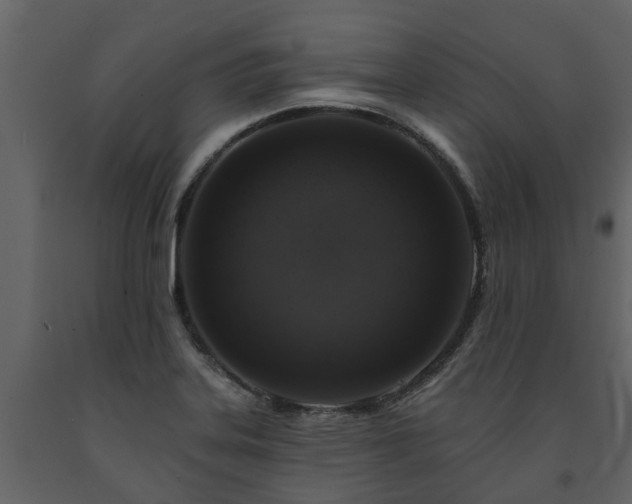 X0000091691323200708231431