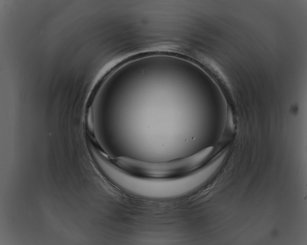 X0000091691324200708231431