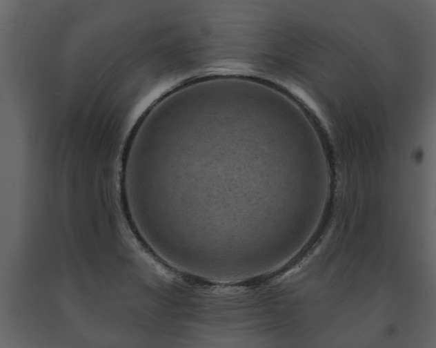 X0000091691325200708231431