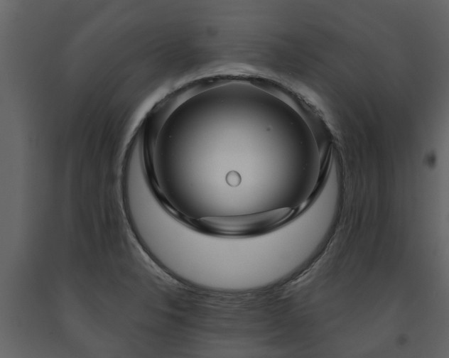 X0000091691326200708231431
