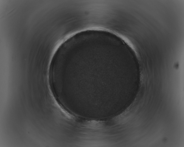 X0000091691327200708231431