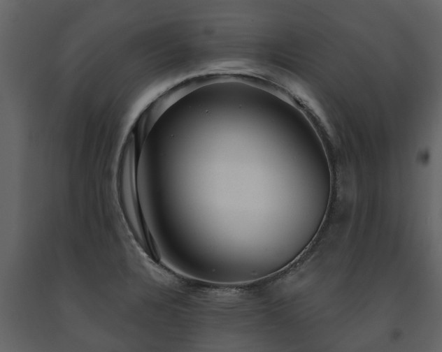 X0000091691328200708231431