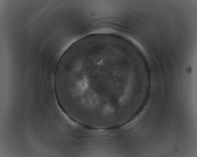 X0000091691329200708231431