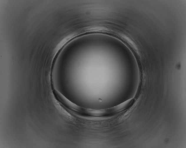 X0000091691330200708231431