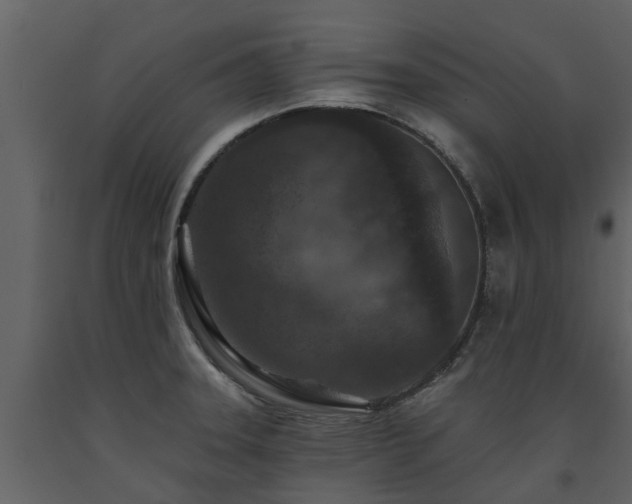 X0000091691331200708231431