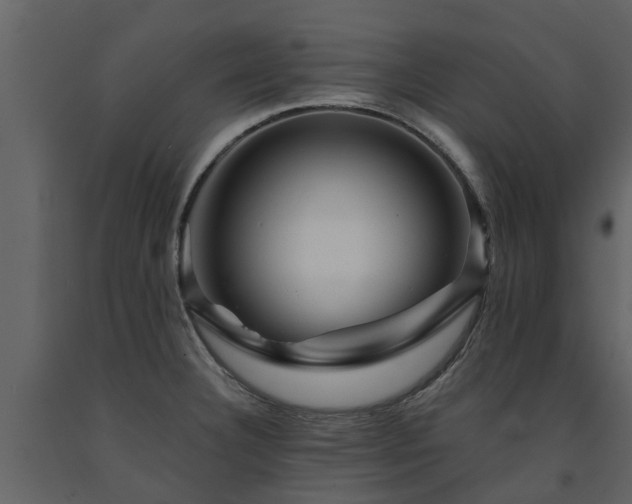 X0000091691332200708231431