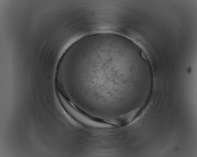 X0000091691333200708231431