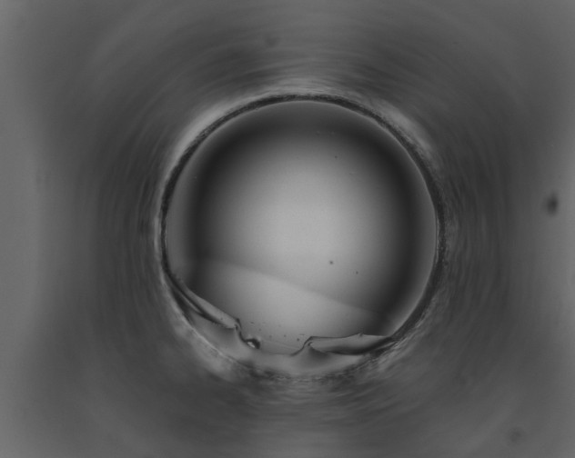 X0000091691334200708231431