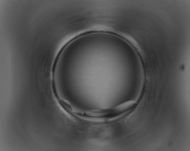 X0000091691335200708231431