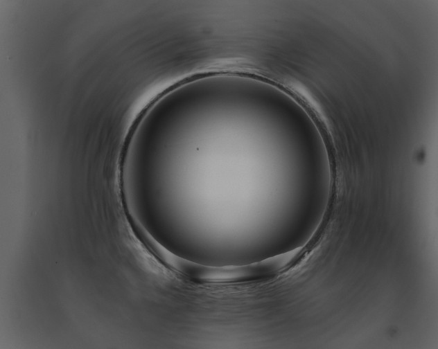 X0000091691336200708231431