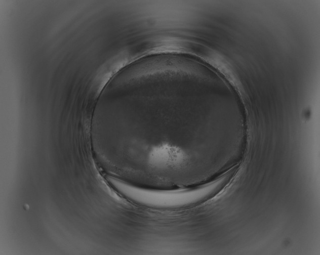X0000091691337200708231431