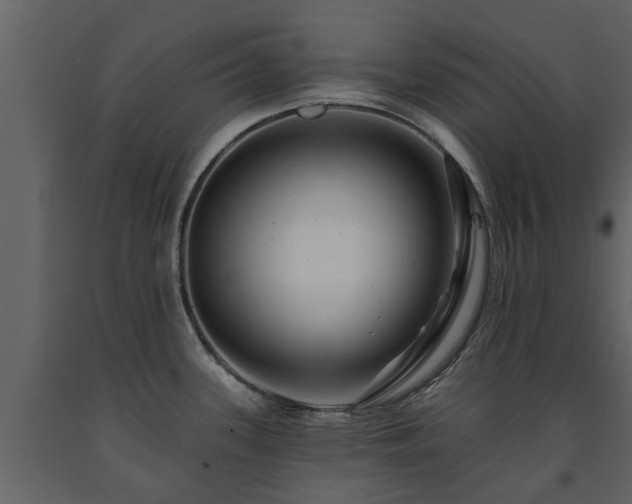 X0000091691339200708231431