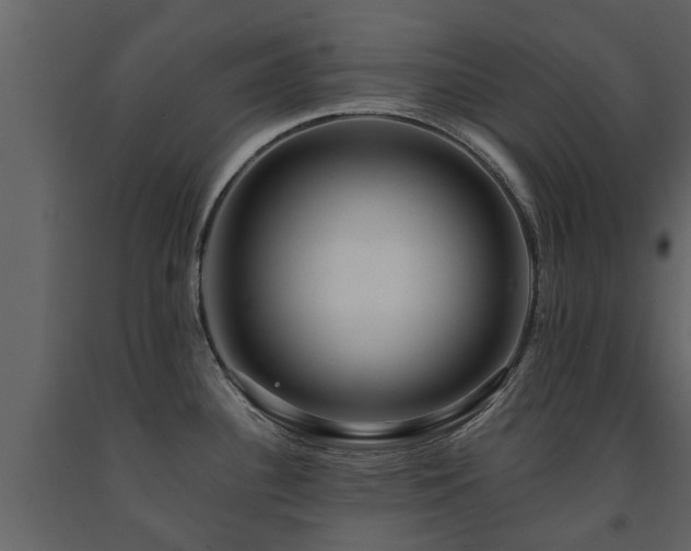 X0000091691340200708231431