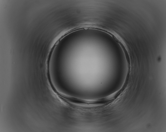X0000091691341200708231431