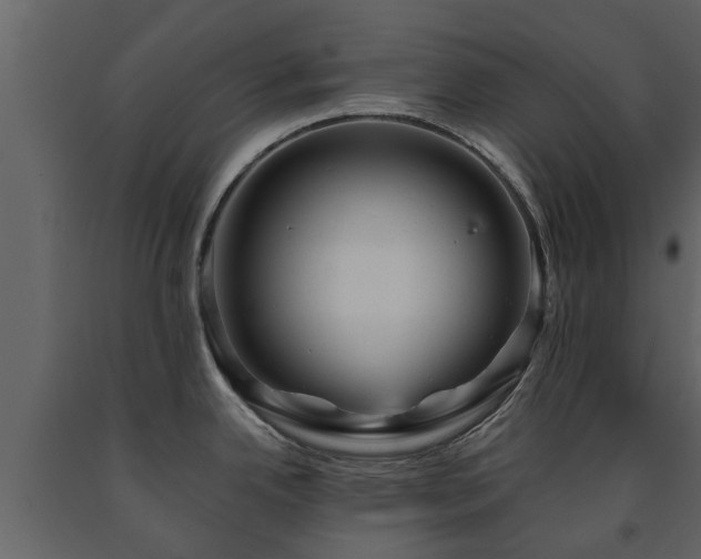 X0000091691342200708231431