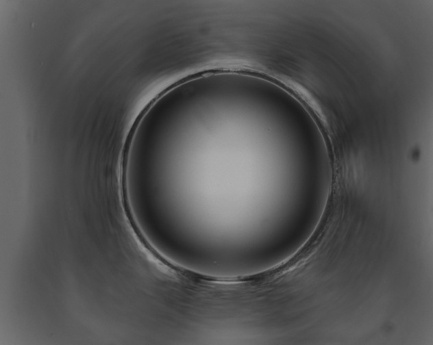 X0000091691343200708231431