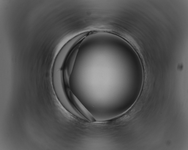 X0000091691344200708231431