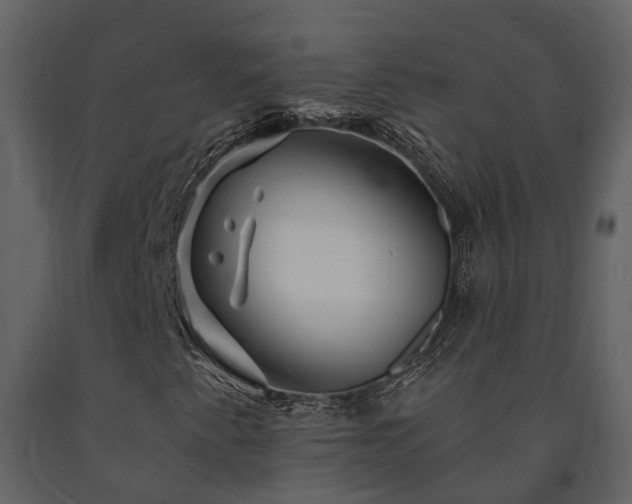 X0000091691345200708231430