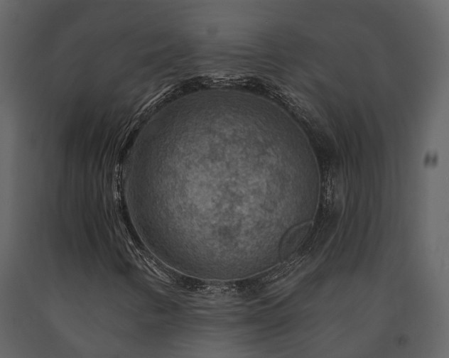 X0000091691346200708231430