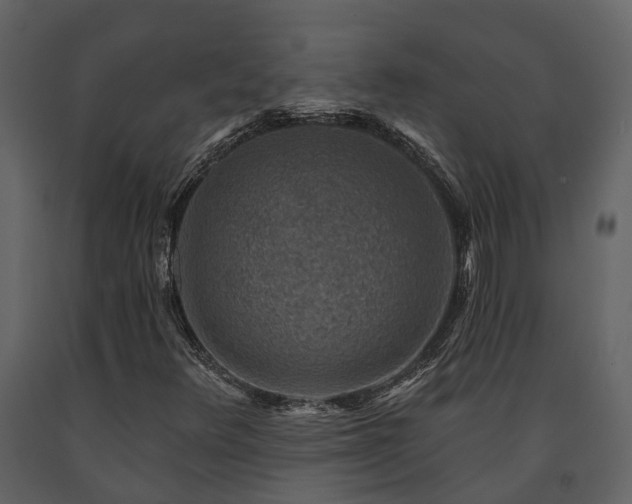 X0000091691348200708231430