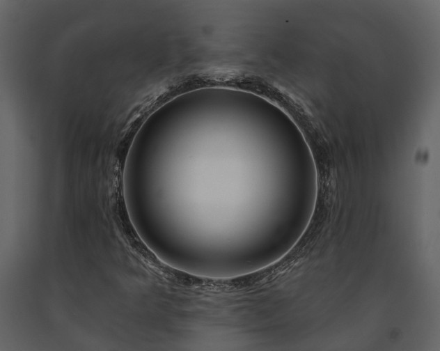 X0000091691349200708231430