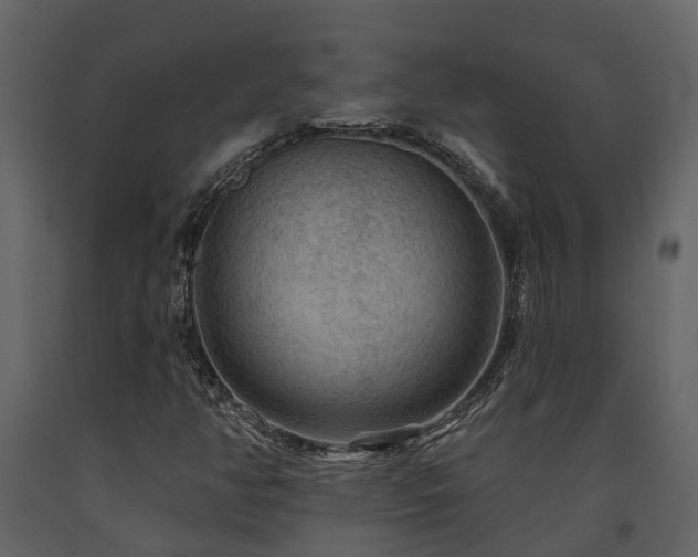 X0000091691350200708231430