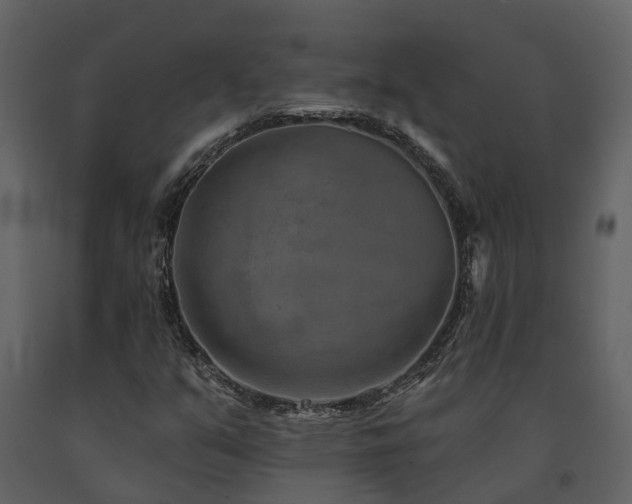 X0000091691351200708231430