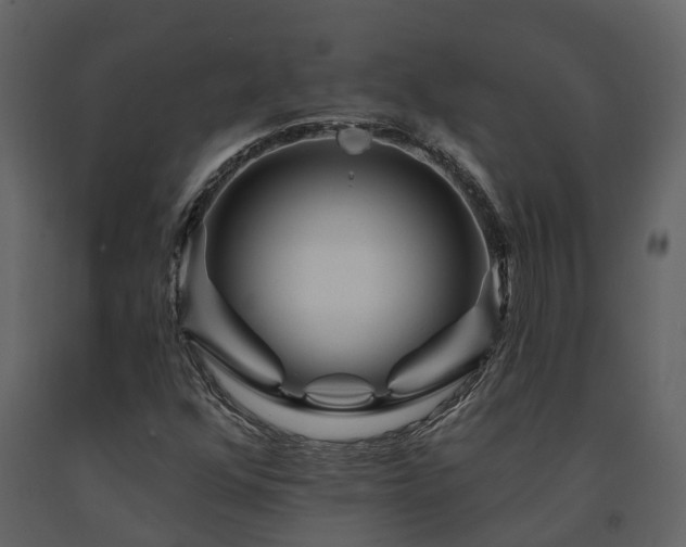 X0000091691352200708231430