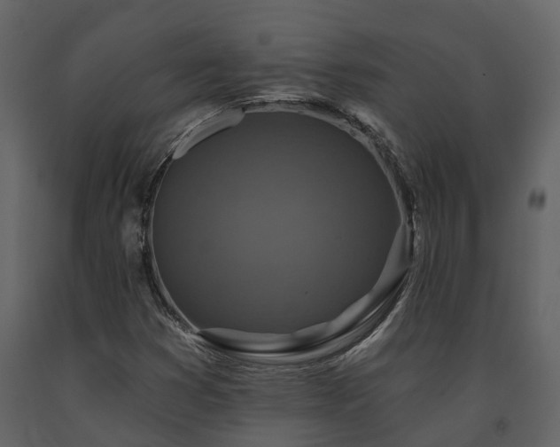 X0000091691353200708231430