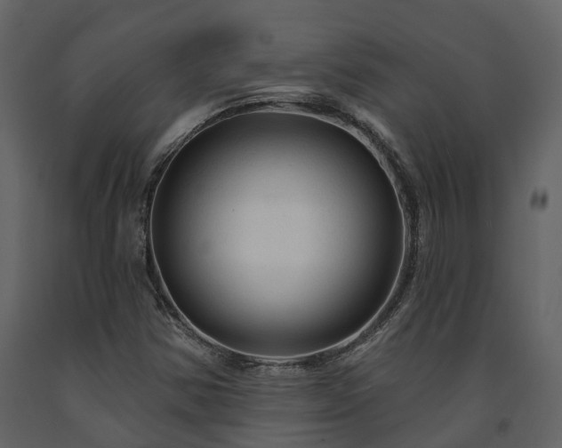 X0000091691354200708231430