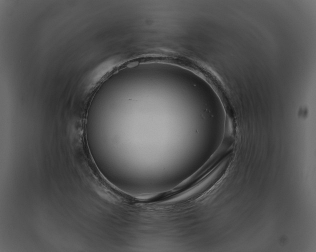 X0000091691355200708231430