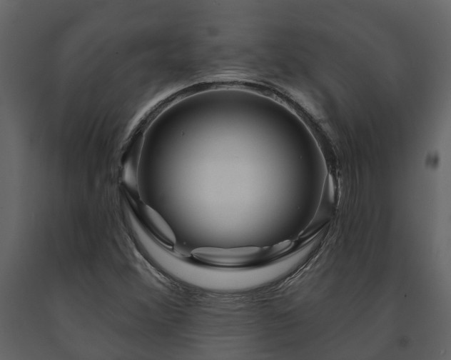 X0000091691356200708231430