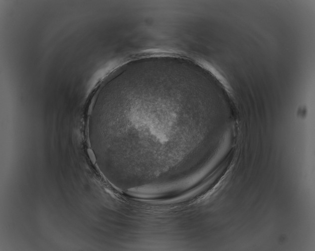X0000091691357200708231430