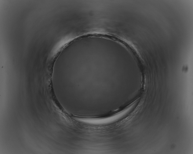 X0000091691359200708231430