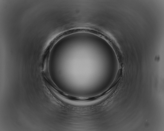 X0000091691360200708231430