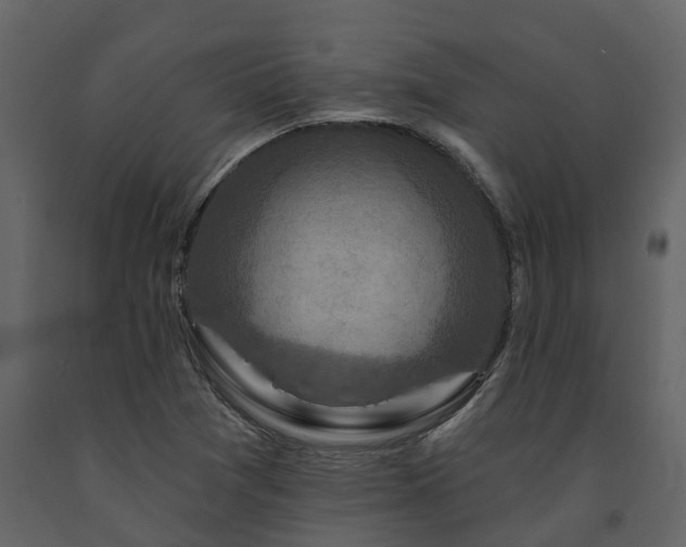X0000091691361200708231430